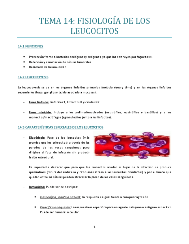 Miniatura del documento TEMA-14-bueno.pdf