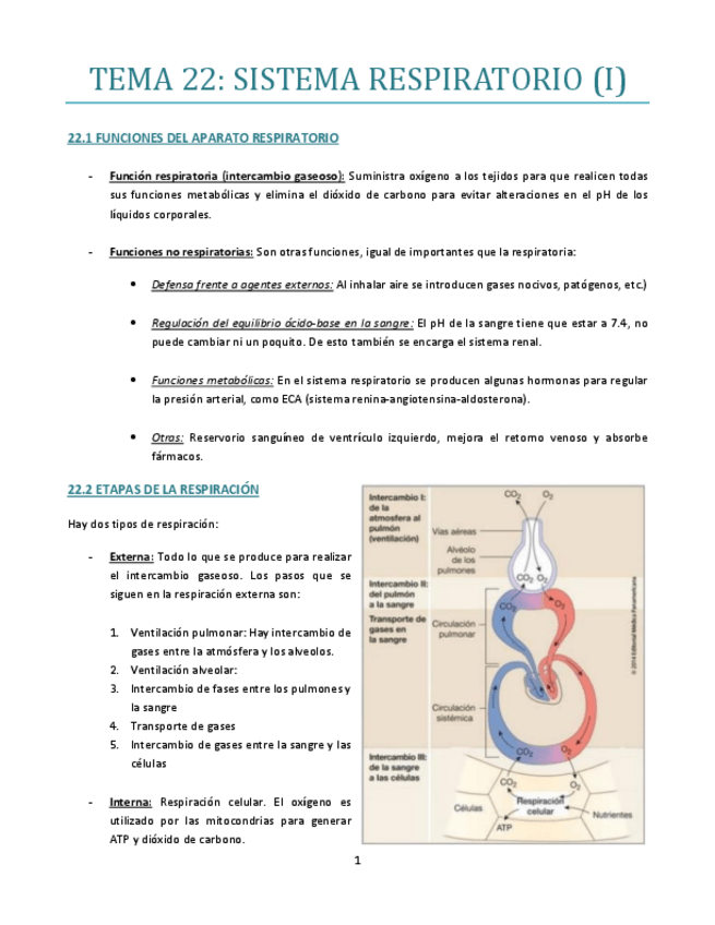 Miniatura del documento TEMA-22-bueno.pdf