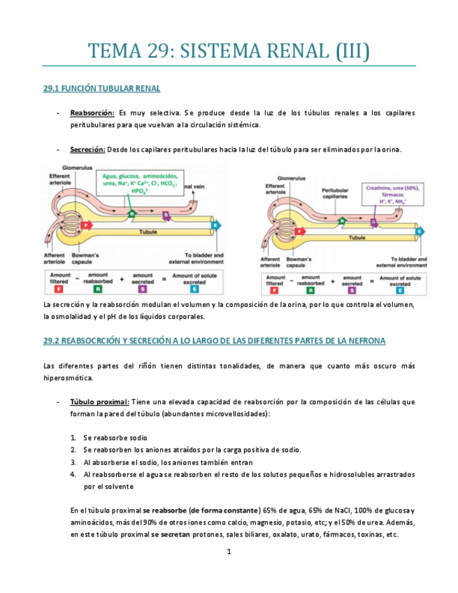 Miniatura del documento TEMA-29-bueno.pdf