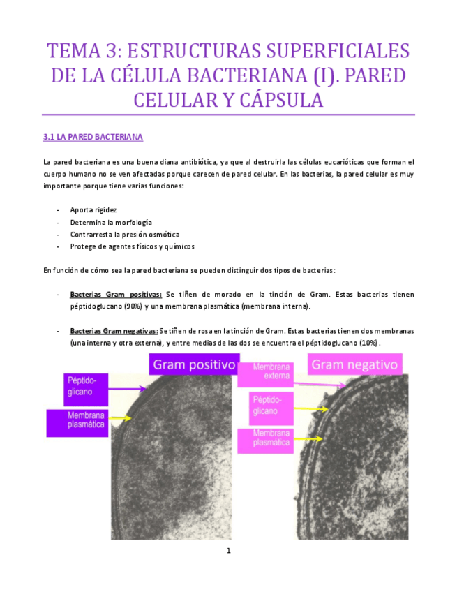 Miniatura del documento TEMA-3-bueno.pdf