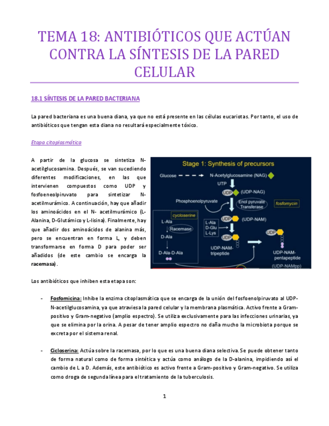 Miniatura del documento TEMA-18-bueno.pdf