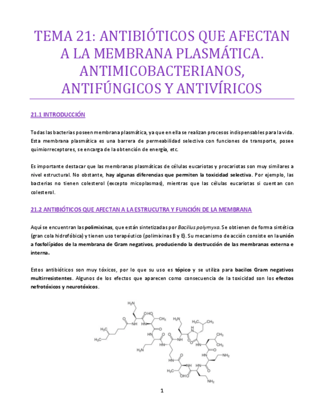 Miniatura del documento TEMA-21-bueno.pdf