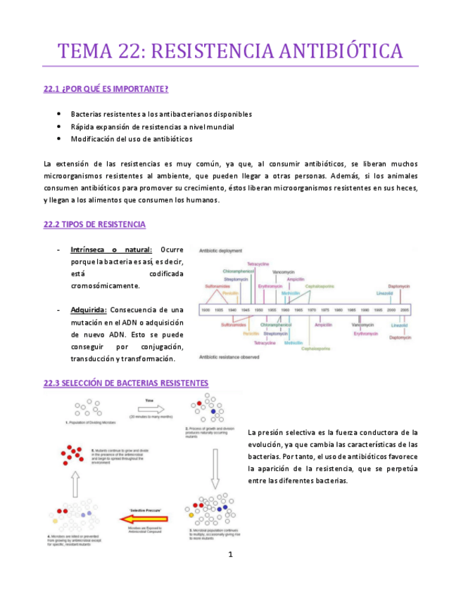 Miniatura del documento TEMA-22-bueno.pdf