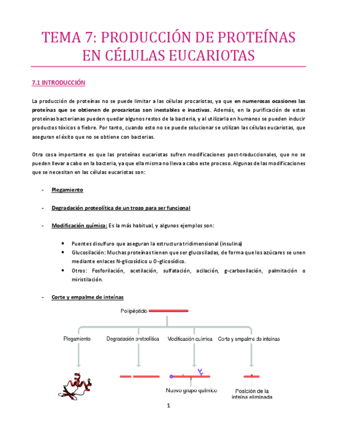 Miniatura del documento TEMA-7-bueno.pdf