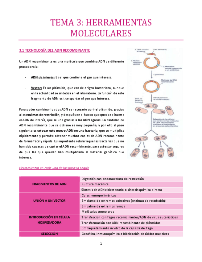 Miniatura del documento TEMA-3-bueno.pdf