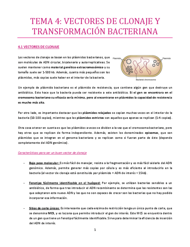 Miniatura del documento TEMA-4-bueno.pdf