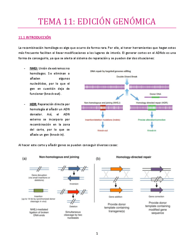 Miniatura del documento TEMA-11-bueno.pdf