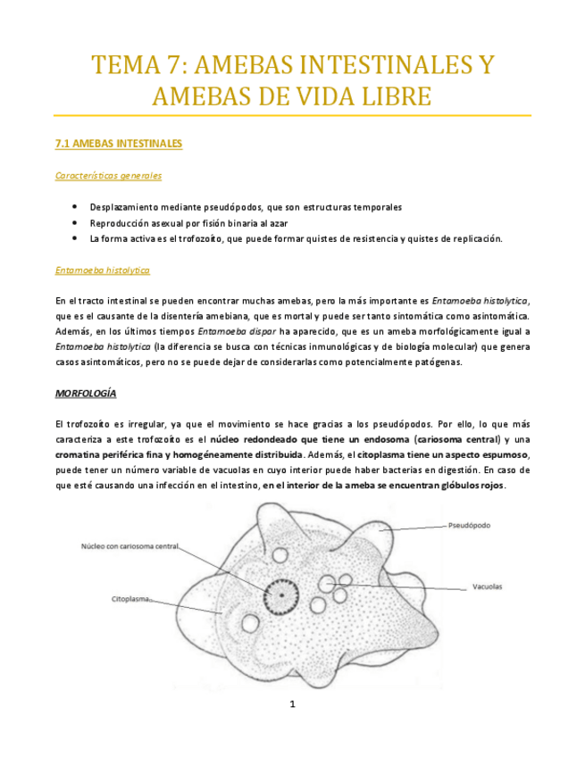 Miniatura del documento TEMA-7-bueno.pdf
