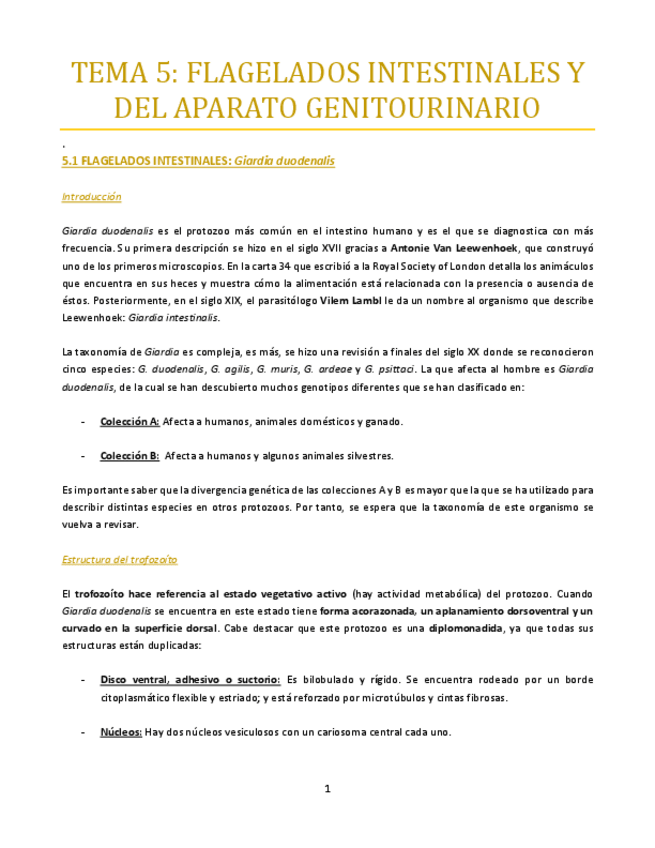 Miniatura del documento TEMA-5-bueno.pdf