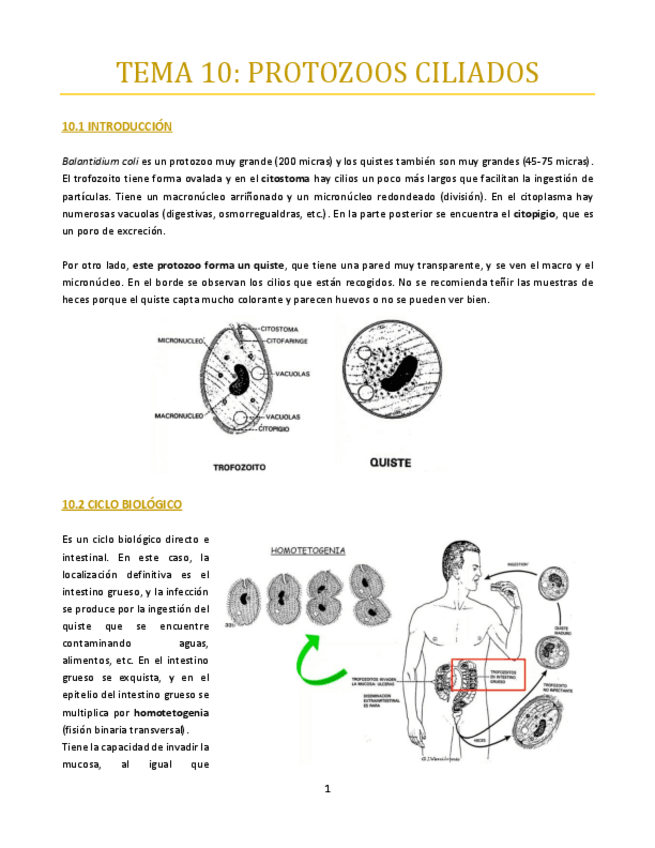 Miniatura del documento TEMA-10-bueno.pdf