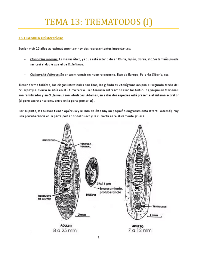 Miniatura del documento TEMA-13-bueno.pdf