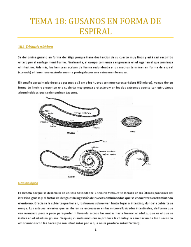 Miniatura del documento TEMA-18-bueno.pdf