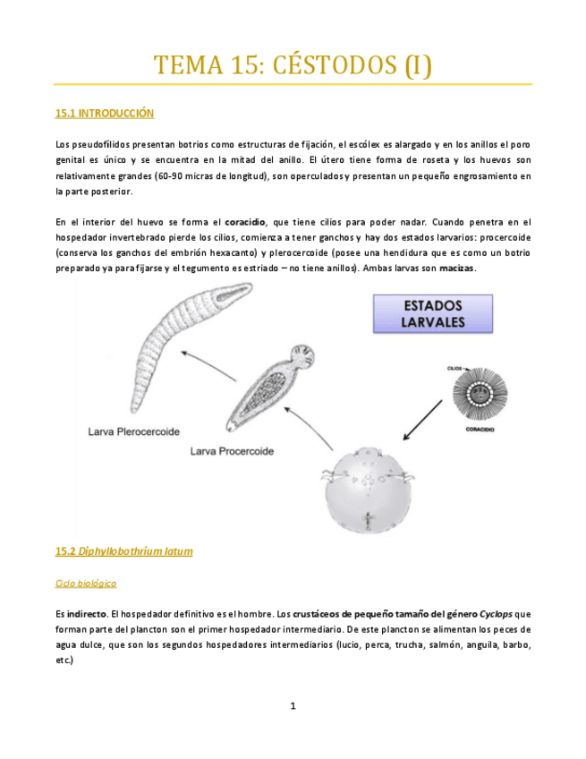Miniatura del documento Tema-15-bueno.pdf
