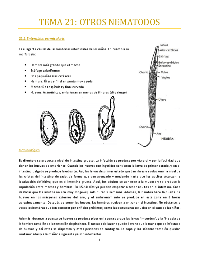 Miniatura del documento TEMA-21-bueno.pdf