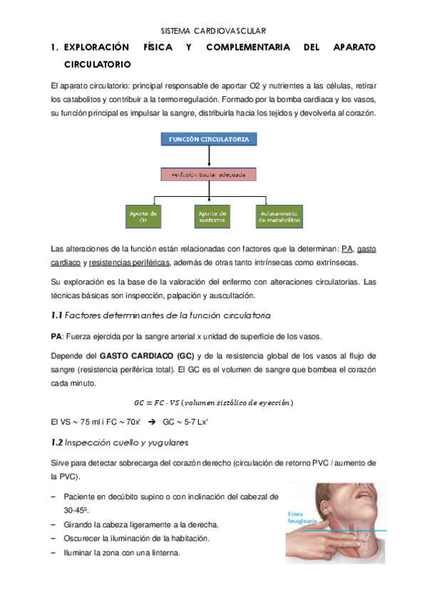 Miniatura del documento SISTEMA-CARDIOVASCULAR.pdf