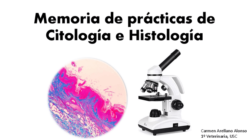 Miniatura del documento Memoria-de-practicas-histologia.pdf
