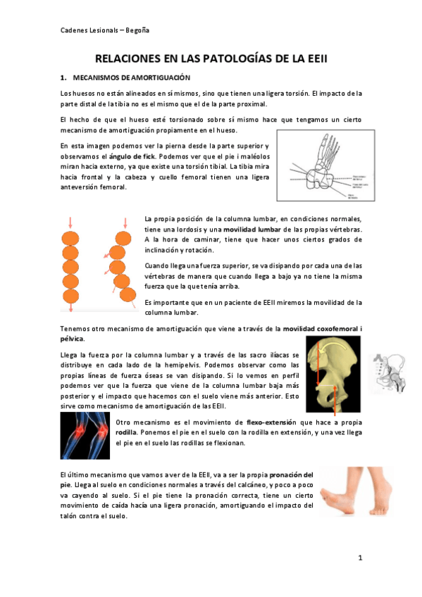Miniatura del documento Teoria-Cadenes-lesionals.pdf