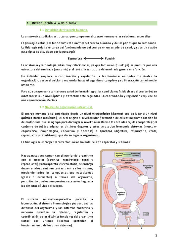Miniatura del documento introduccion-a-la-fisiologia.pdf