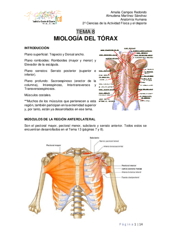 Miniatura del documento Tema-8.pdf