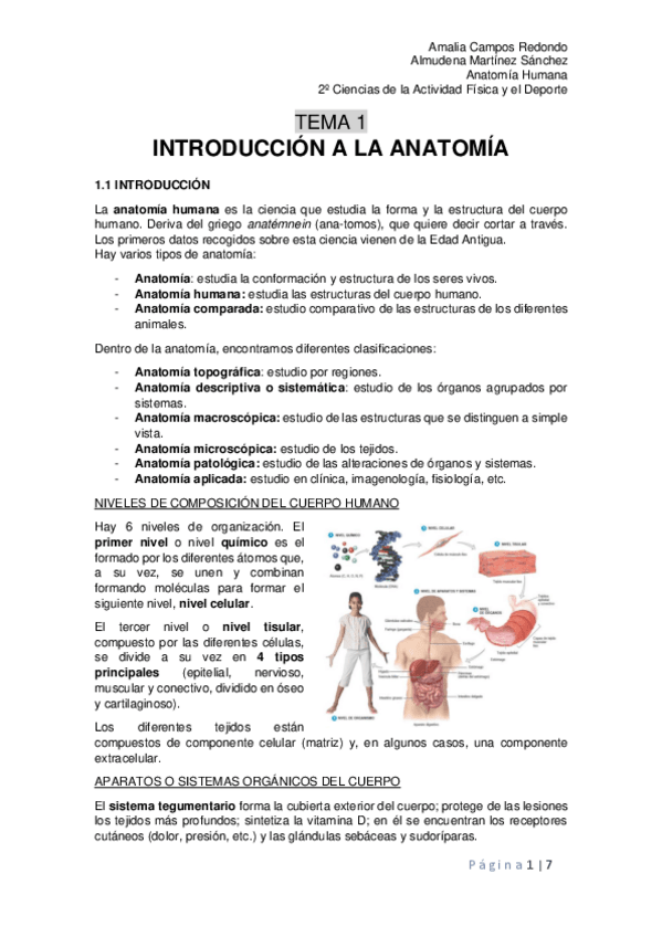 Miniatura del documento Tema-1.pdf
