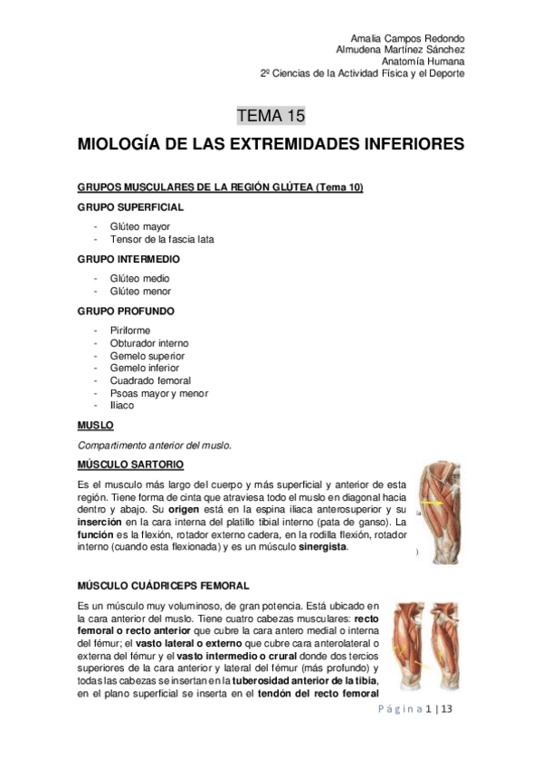 Miniatura del documento Tema-15.pdf