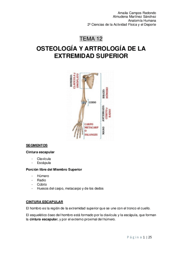 Miniatura del documento Tema-12.pdf