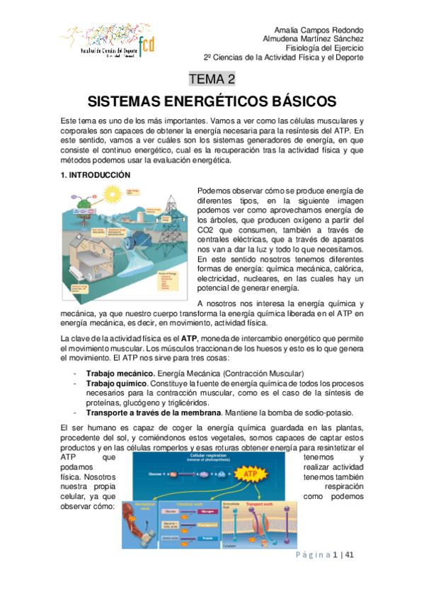 Miniatura del documento Tema-2.pdf