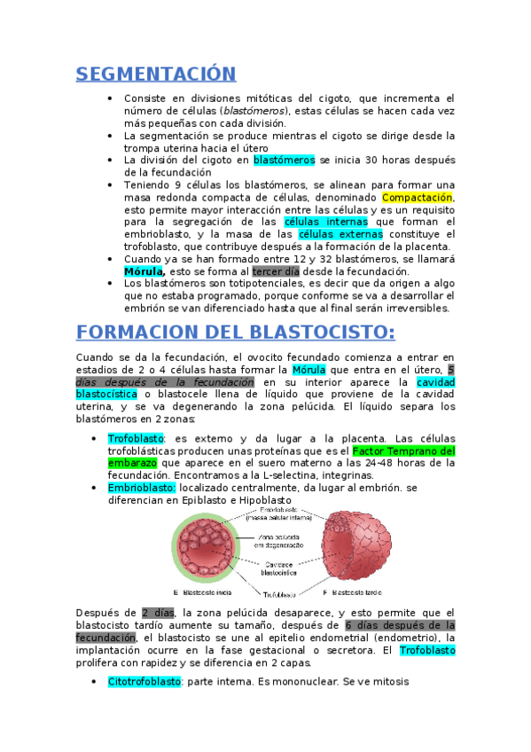 Miniatura del documento 3.docx