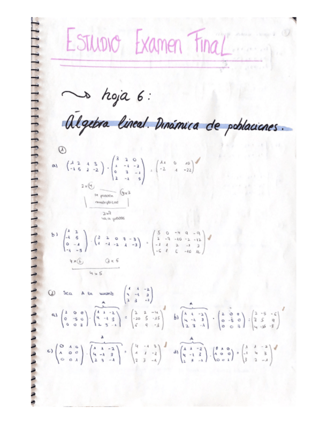 Miniatura del documento hojas-6-y-extra.pdf