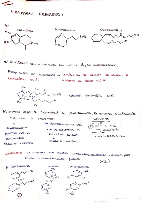 Miniatura del documento Examen-febrero-organica.pdf