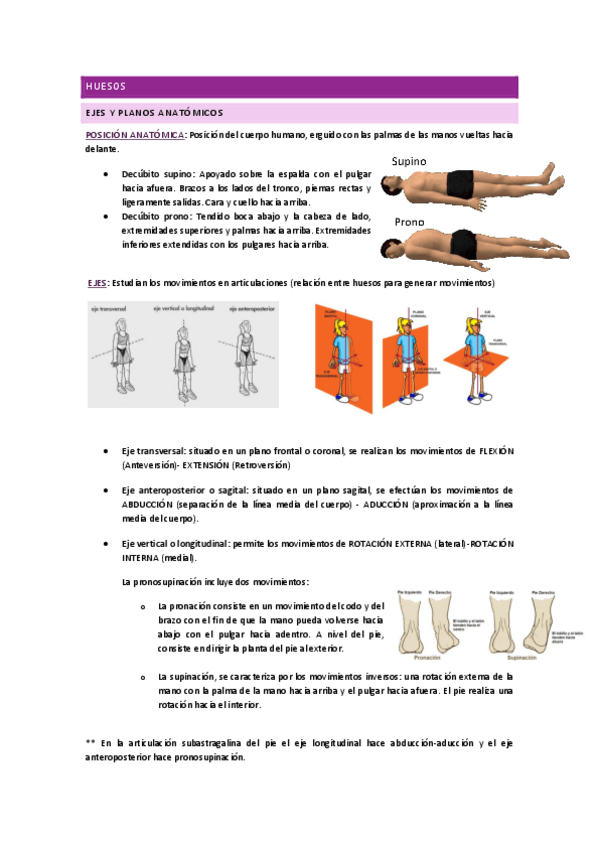 Miniatura del documento HUESOS.pdf
