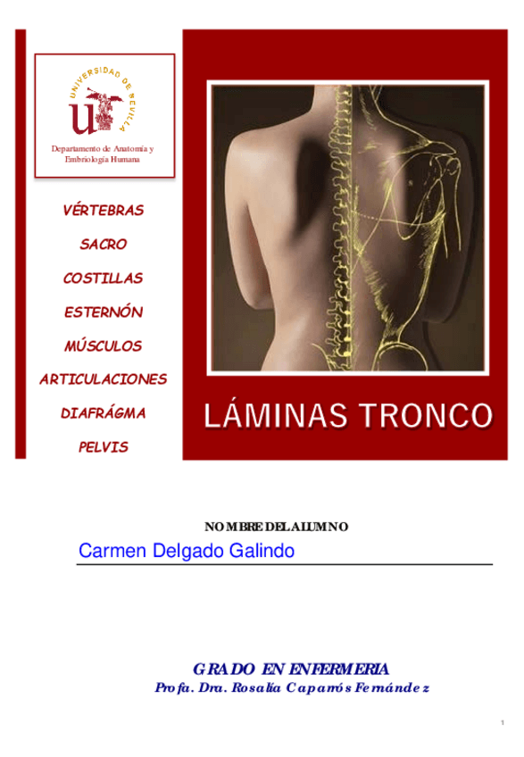 Miniatura del documento TRONCO.pdf