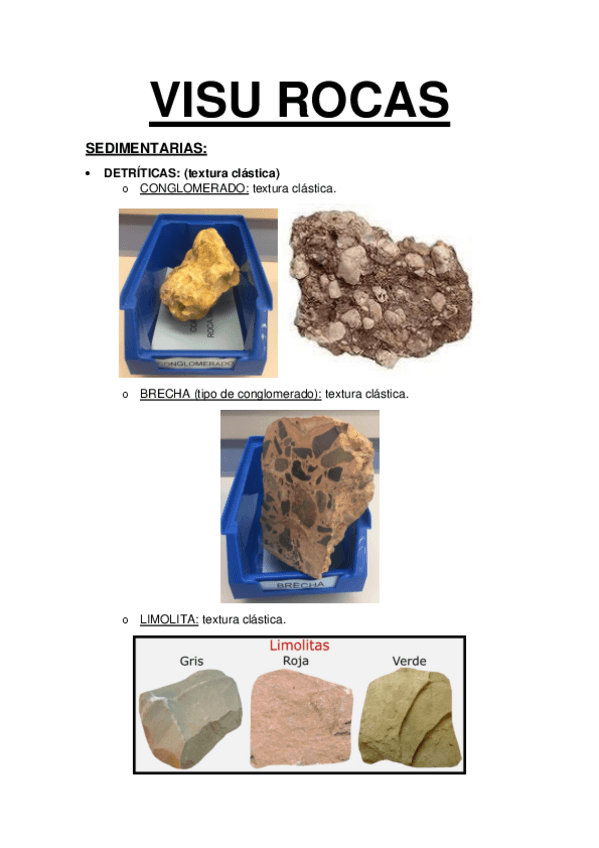Miniatura del documento VISU-ROCAS-2.pdf