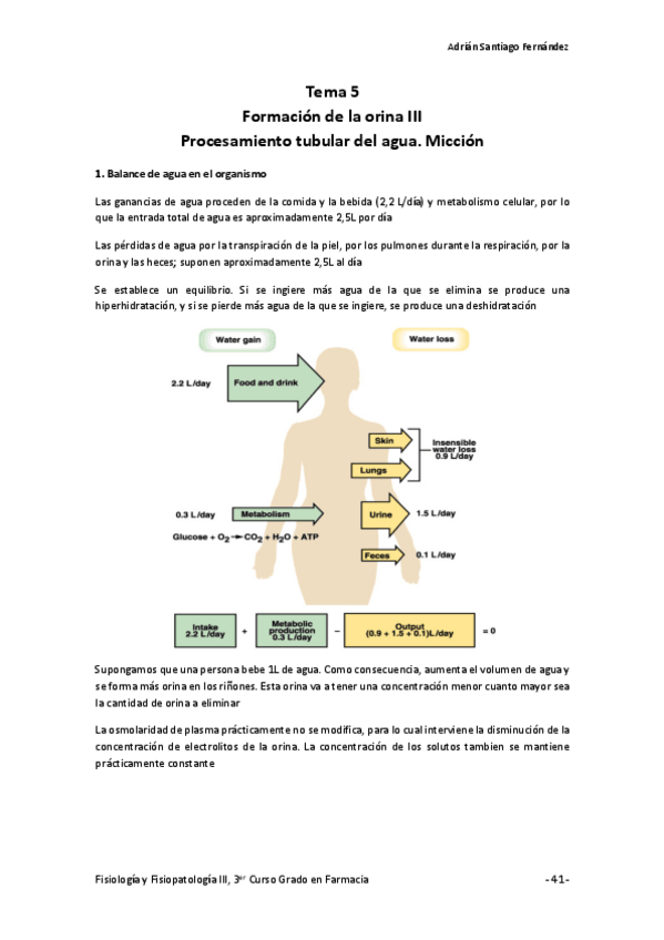 Miniatura del documento Tema-5-Formacion-de-la-orina-III.pdf
