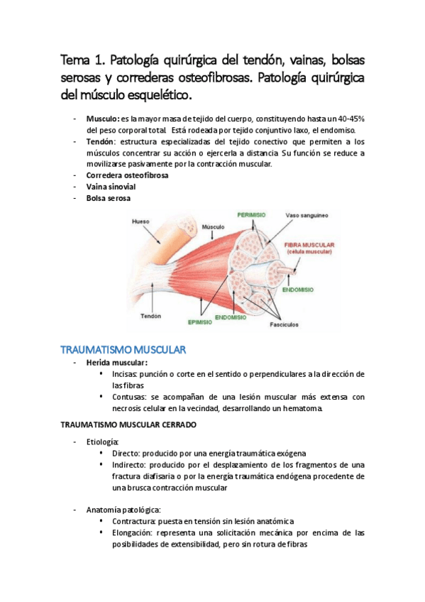 Miniatura del documento Temario completo trauma.pdf