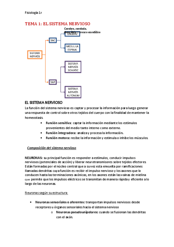 Miniatura del documento 1-CUATRI-fisiologia.pdf
