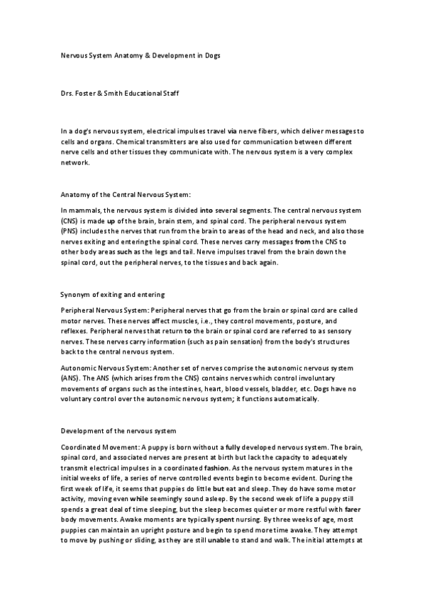 Miniatura del documento Development-NS-in-dogs-.pdf