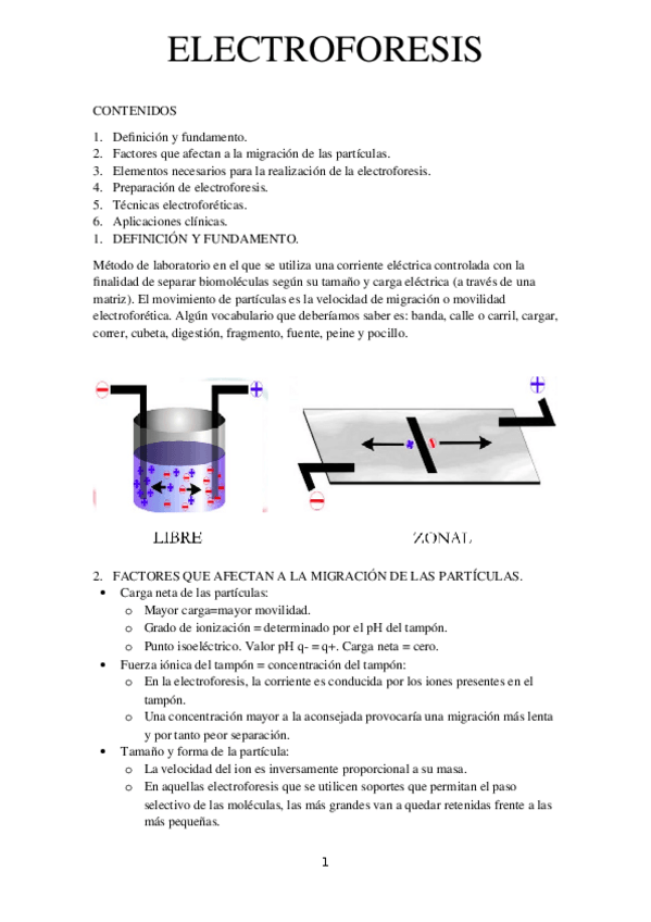 Miniatura del documento electroforesis.docx