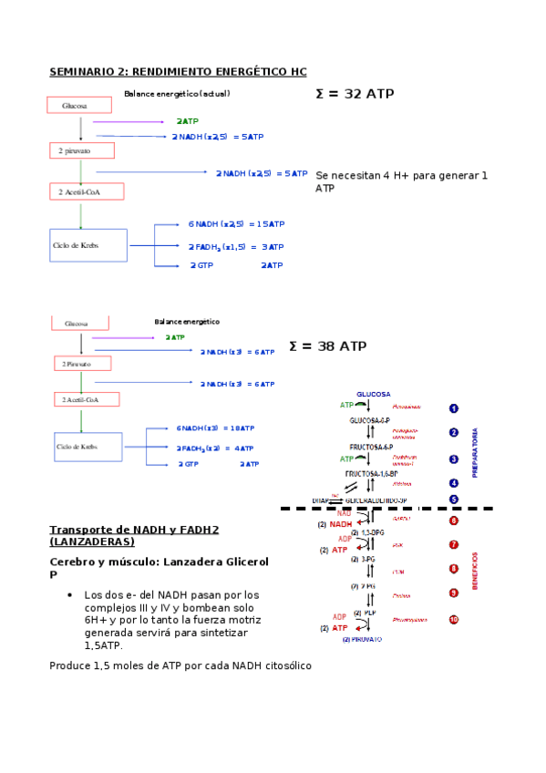 Miniatura del documento 2SEMINARIO.docx