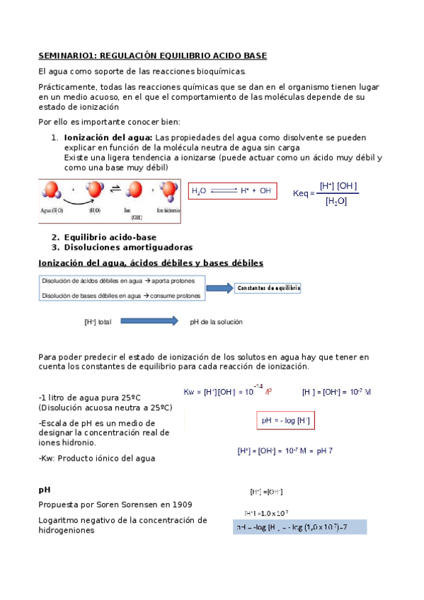 Miniatura del documento 1SEMINARIO.docx