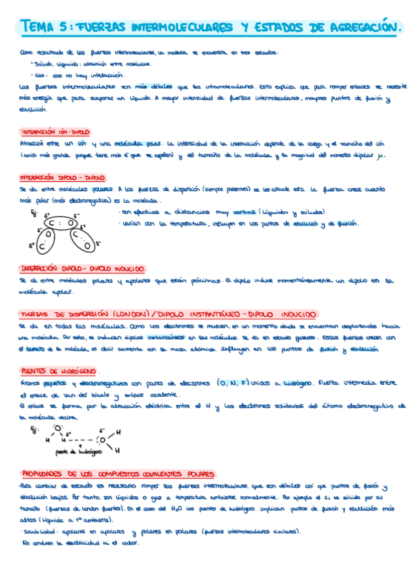 Miniatura del documento Resumen-T5.pdf