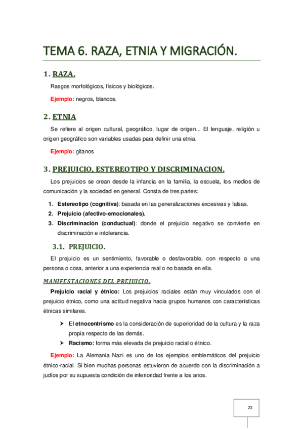 Miniatura del documento T-6 Raza Etnia y Migracion (ANNA).pdf