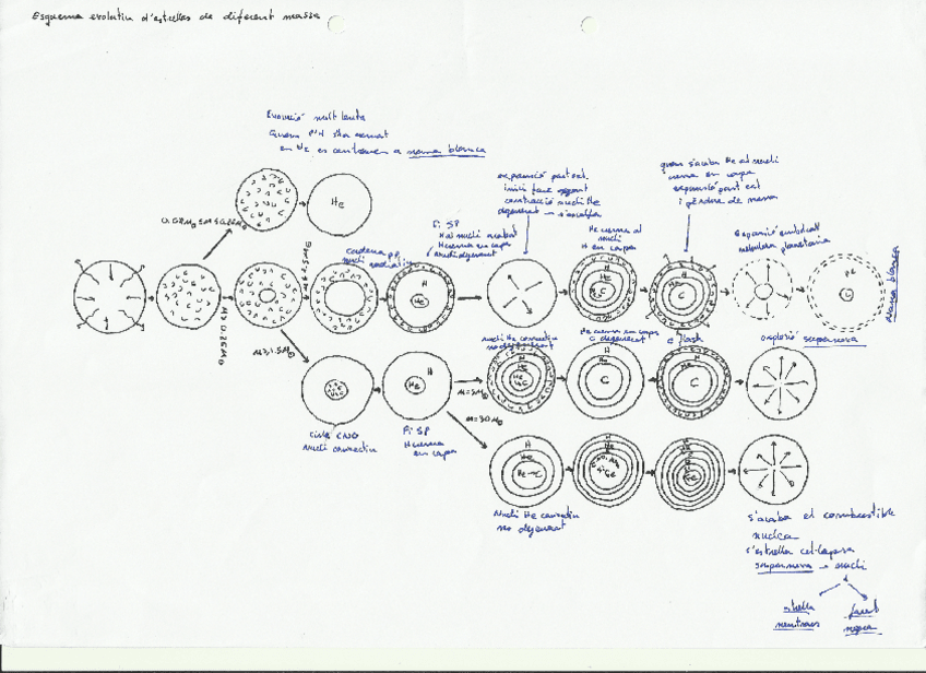 Miniatura del documento esquemaevolutiudestrellesdediferentmassa.pdf