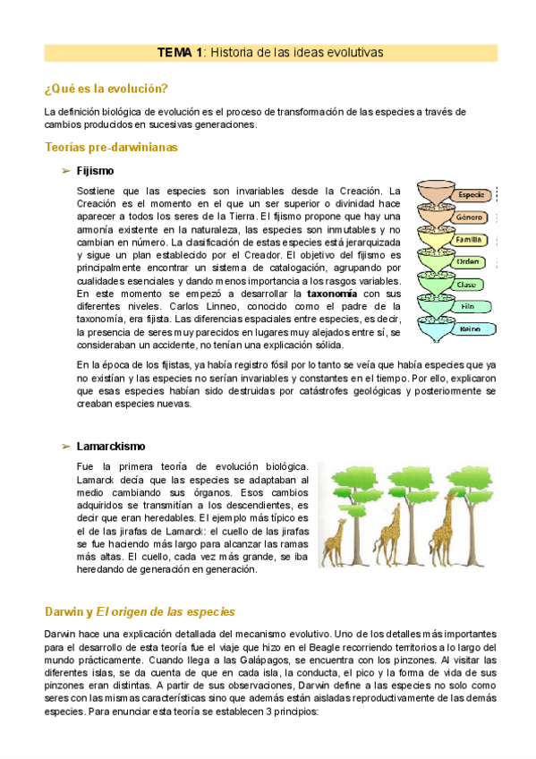 Miniatura del documento Biologia-evolutiva-Primer-bloque-T1-3.pdf