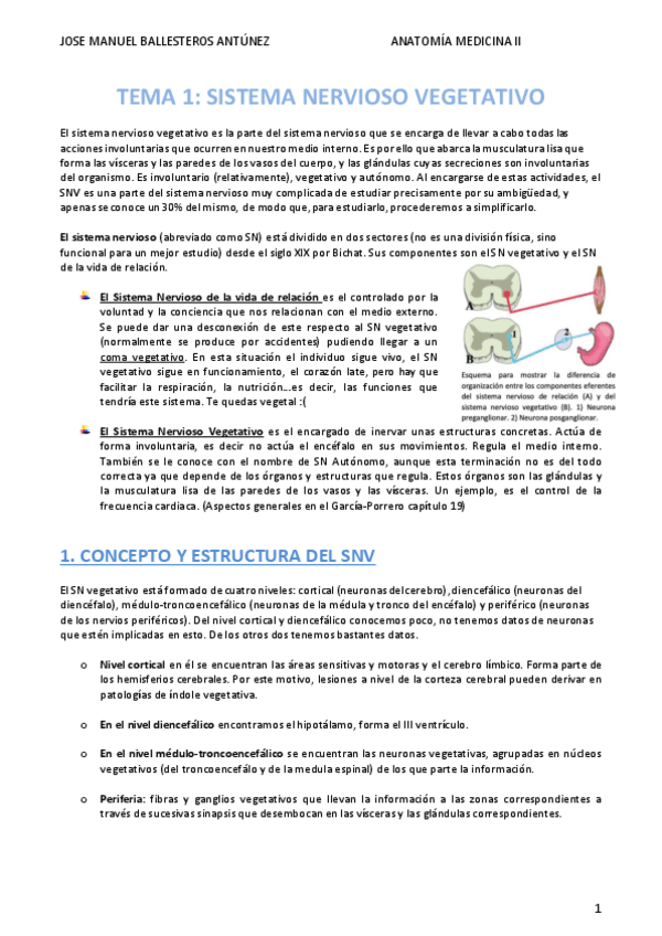 Miniatura del documento AMED-II-.pdf