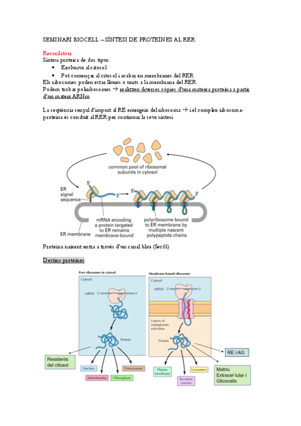 Miniatura del documento SEMINARI-BIOCELL.pdf