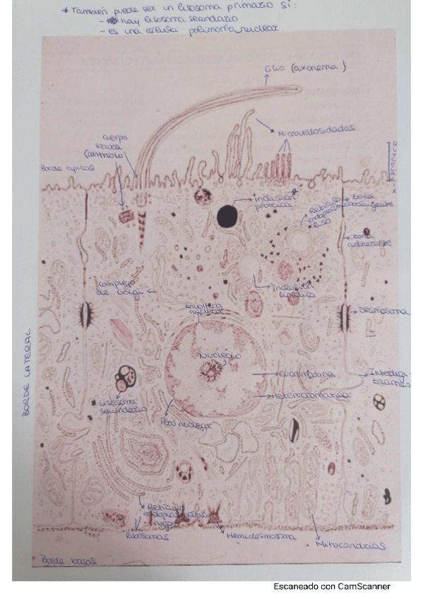 Miniatura del documento CamScanner-09-10-2021-12.pdf