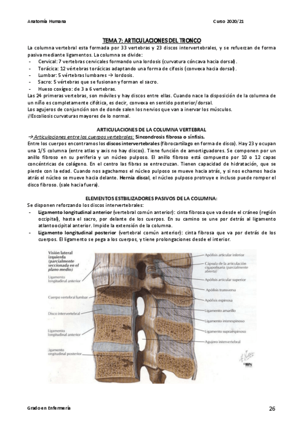 Miniatura del documento TEMA-7.pdf