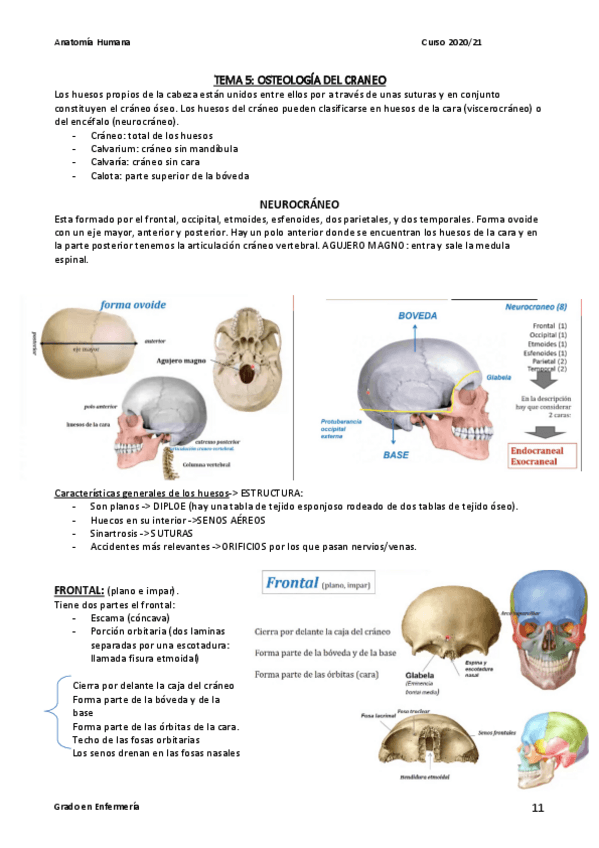 Miniatura del documento TEMA-5.pdf