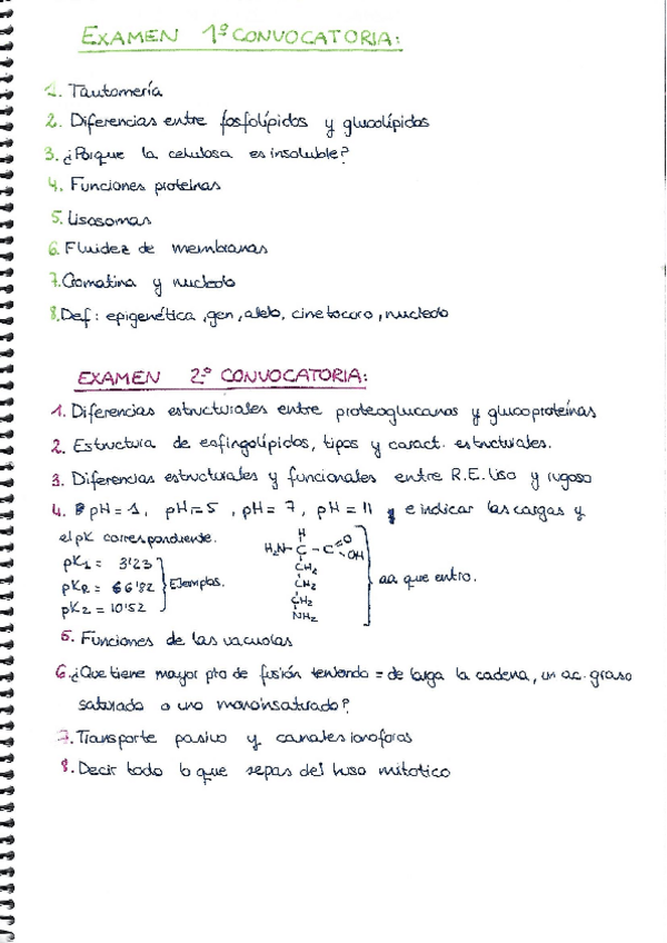 Miniatura del documento 1.pdf